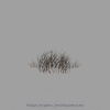 foliage_drygrass_smallsquareclump.jpg