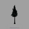 foliage_tree_pine_lg_b.jpg