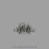 foliage_drygrass_squareclump_obj.jpg