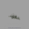 foliage_grass_triangularclump.jpg