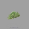 foliage_hedge_wall_1.jpg