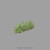 foliage_hedge_wall_2.jpg