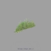 foliage_hedge_wall_3.jpg