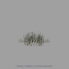 foliage_litegrass_smallsquareclump.jpg