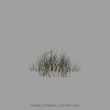 foliage_litegrass_squareclump.jpg