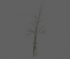 tree_destroyed_tree_b.jpg