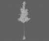 tree_snow_pine_lg_c.jpg