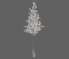 tree_snow_pine_sm_c.jpg