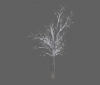 tree_snow_river_birch_med_c.jpg
