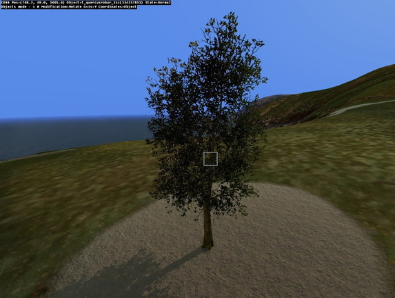 t quercusRobur 2sc